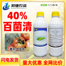 ̨���d�r��¶ 40%�پ������߲������������߲˷������rș����_ˢ