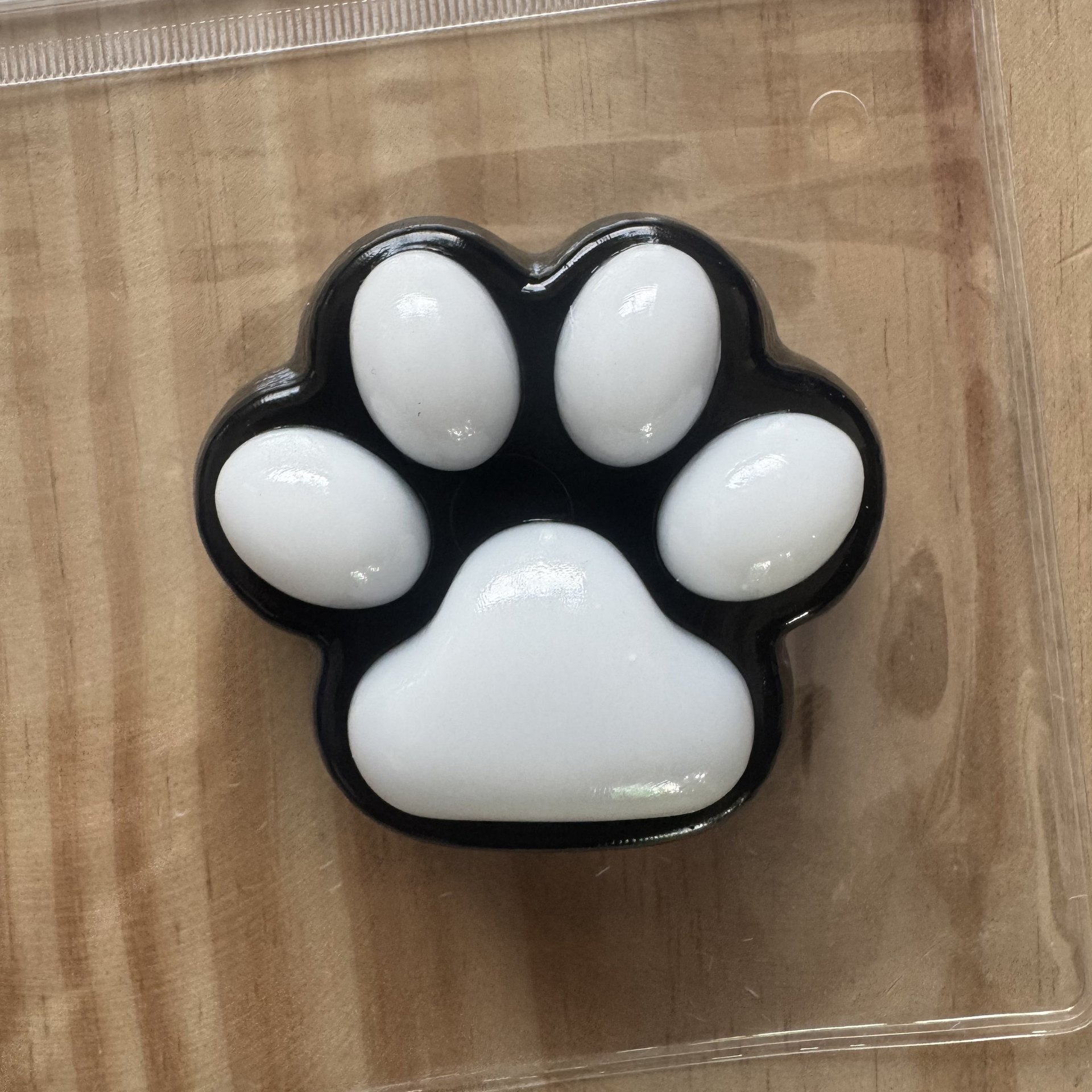 Medium Black and White Cat Paw