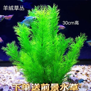 С~bˮݼٻٲˮ쾰ƷСС΢^[]