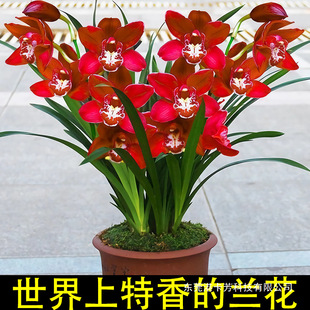 �m���������ļ��m�҃Ȼ��ܺ��B�׻������