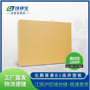 ���i�׺�B1���D�ܰ�߿������ȸ���忹��250xps�⠝������ĭ��