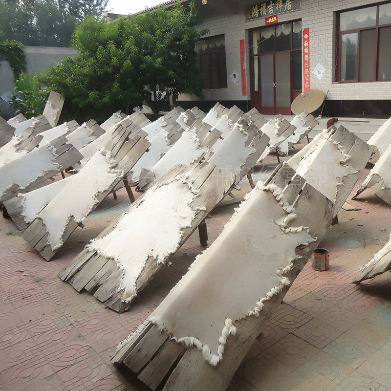 Производитель производит шерстяной овечьей кожи