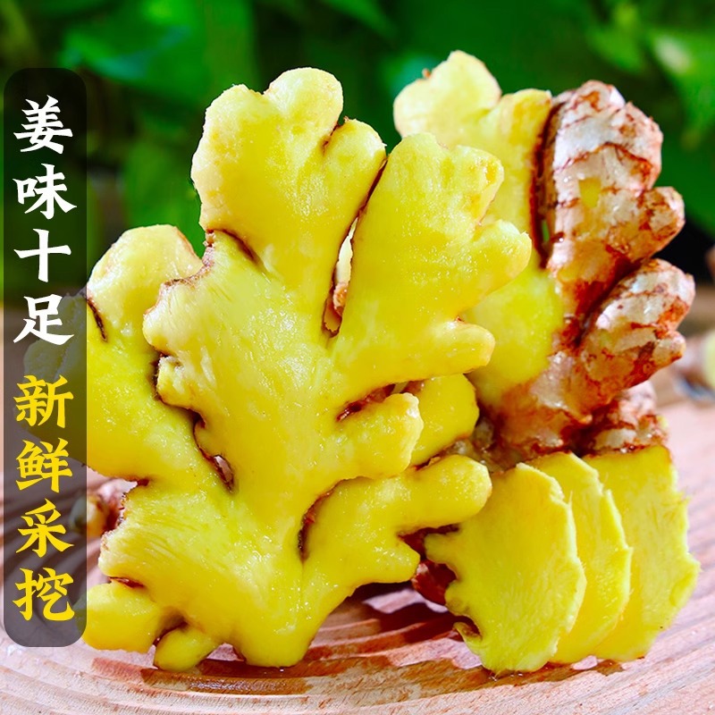 云南新小黄姜老姜生姜新鲜黄姜土姜现挖子姜嫩姜鲜姜嫩姜包邮鲜挖