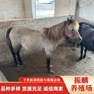 ���㰫�R��Ѫ�R �����R�Bֳ���۸���˹�m�R�h�m���R����Rƥ����