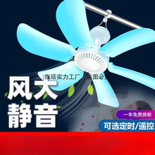 2024¿ССWÎoʽLֱN