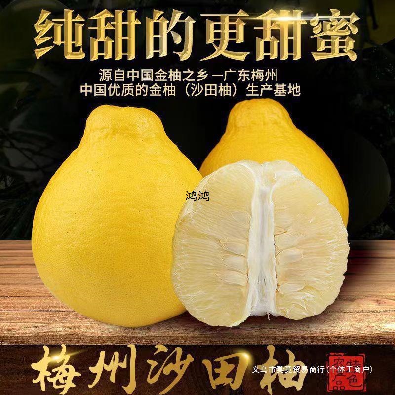 梅州沙田柚包邮纯甜白心柚子新鲜孕妇水果梅县金柚非一件批发