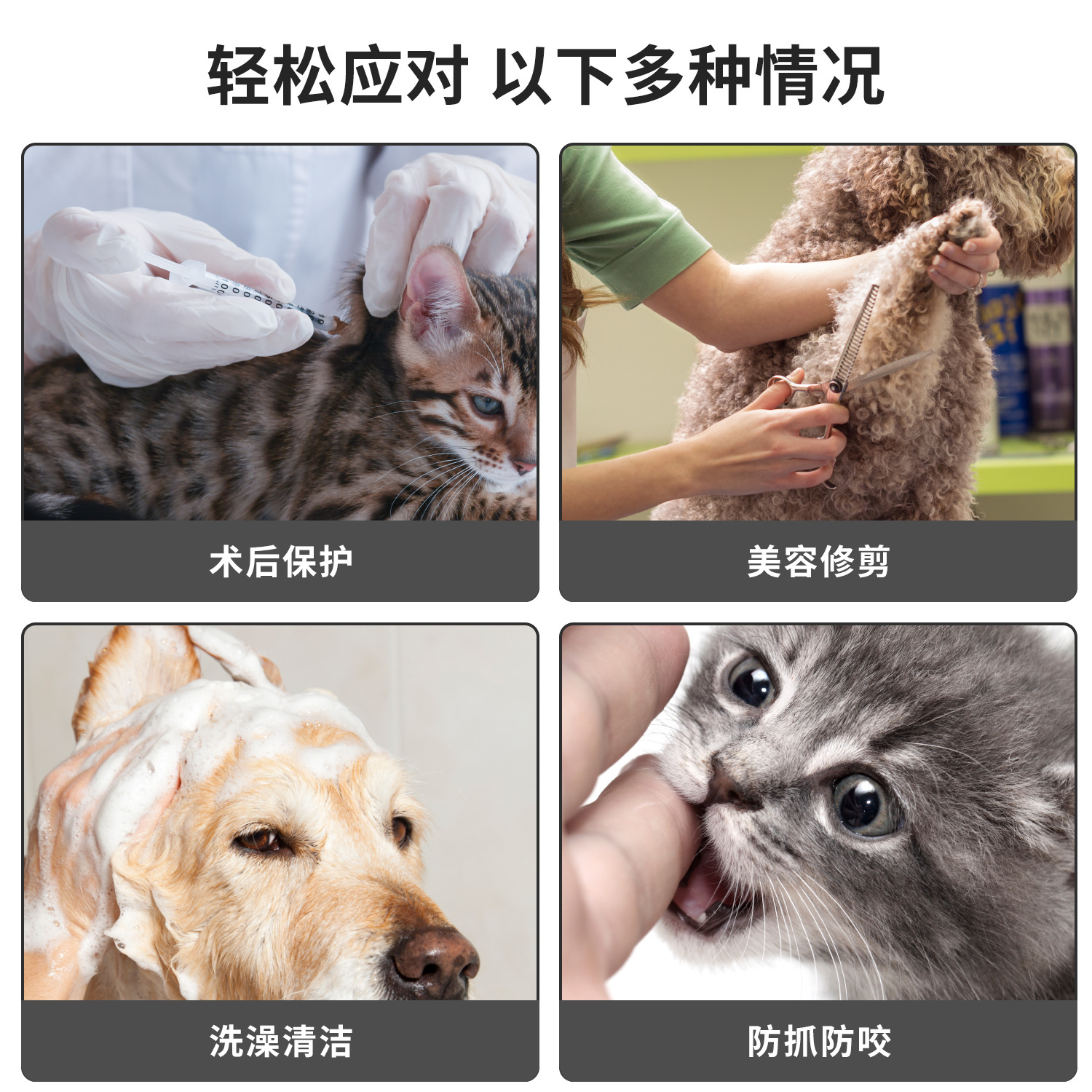 Color Elizabeth Circle Cubierta de aseo para mascotas Anillo anti-morder Cubierta protectora anti-morder para gatos Collar para perros Collar para gatos