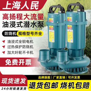 Shanghai People's 220V Submersible Pump 3inch 4inch Clean Water Pump for Agricultural Irrigation and Household Use with High Flow Rate and High Head