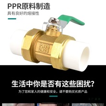 ~|pprˮܹܼ_P^420 1 625pyTy