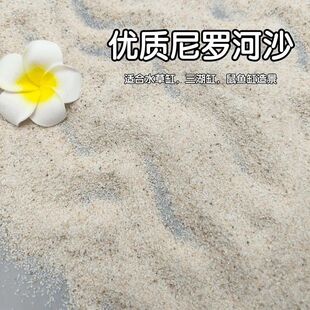 ���_��ɳ���yɳ�ݸ����������~��ɰ�~���쾰��ɳ��ɳ�Sɫ��ɳˮ��