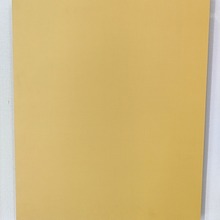 E0环保实木多层免漆生态板彩色 自装类隔墙板大黄色