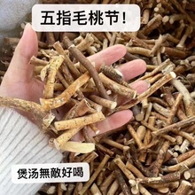 ��ָë�Ҹ�Ұ��5g��Դ�خa�ж���ș���Ҝ�������ץ�������ߝ��