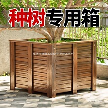 ����ľ�N�˻������ͥԺ�Nֲ��N��������⌍ľ���۹��̻�����