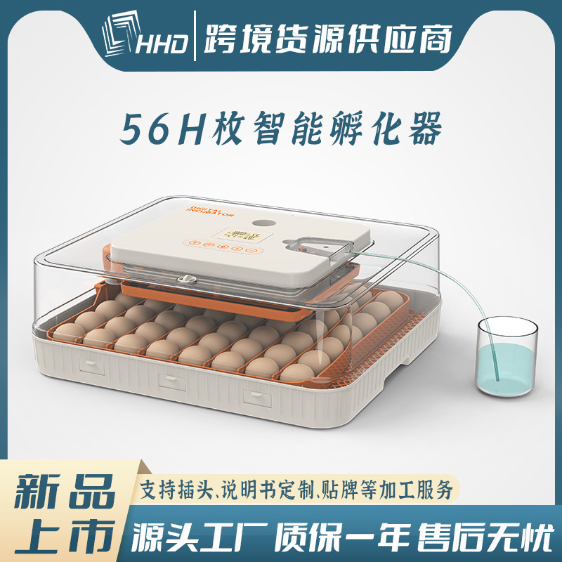 56H