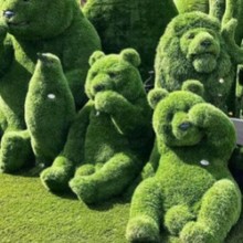 ĘVGͷƤܲƺGGֲܔ[÷