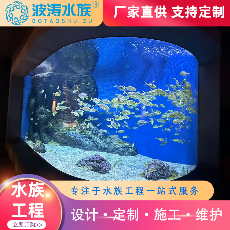 大型亚克力鱼缸透明水族馆生态观赏展示鱼缸有机玻璃鱼缸定 制