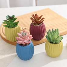 ���������Q�y�մɶ������������b��S��ֱ�N