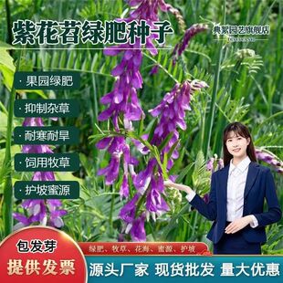 ë��N���L��ëҰ�㶹�N�Ѽ����㶹�Në�~���~�ϻ�����ë���ӷN��