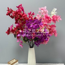 �羳����÷�L����滨 �Ҿӿ͏d���÷��֦ϲ�c�Շ��bٻ����l