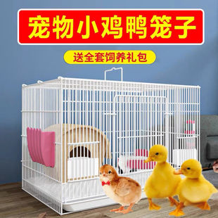 �J���u�\�Ӽ����Bֳ�\�����u�\С�u�\�g���\���\� ����\�羳���S