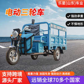 跨境自卸三轮电瓶车大功率摆摊拉货载重王山区爬坡农用电动三轮车