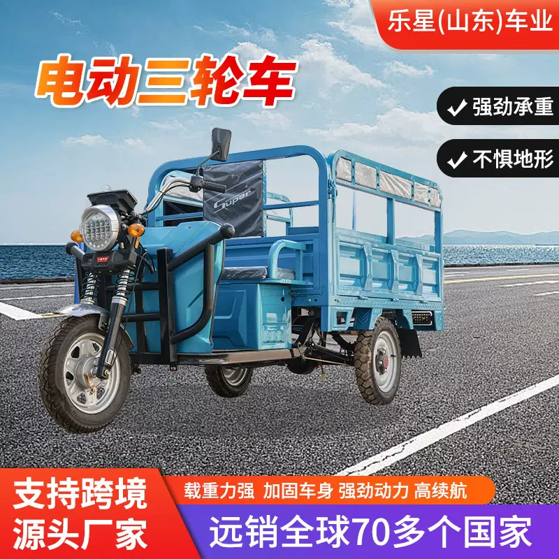 跨境自卸三轮电瓶车大功率摆摊拉货载重王山区爬坡农用电动三轮车