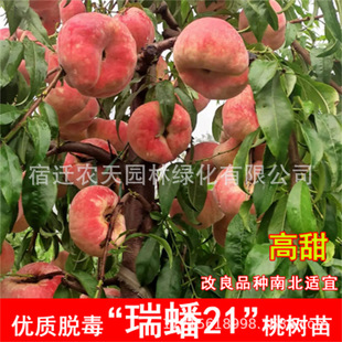 �޽����24̖21�Ҙ���8�µ�9�³������ش����t����箔��Y��