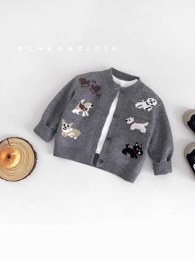 Sweater for boys