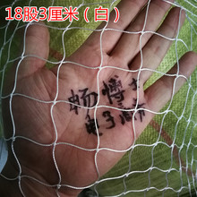 ɫBֳWBuWuWWOWˈ@WھWW