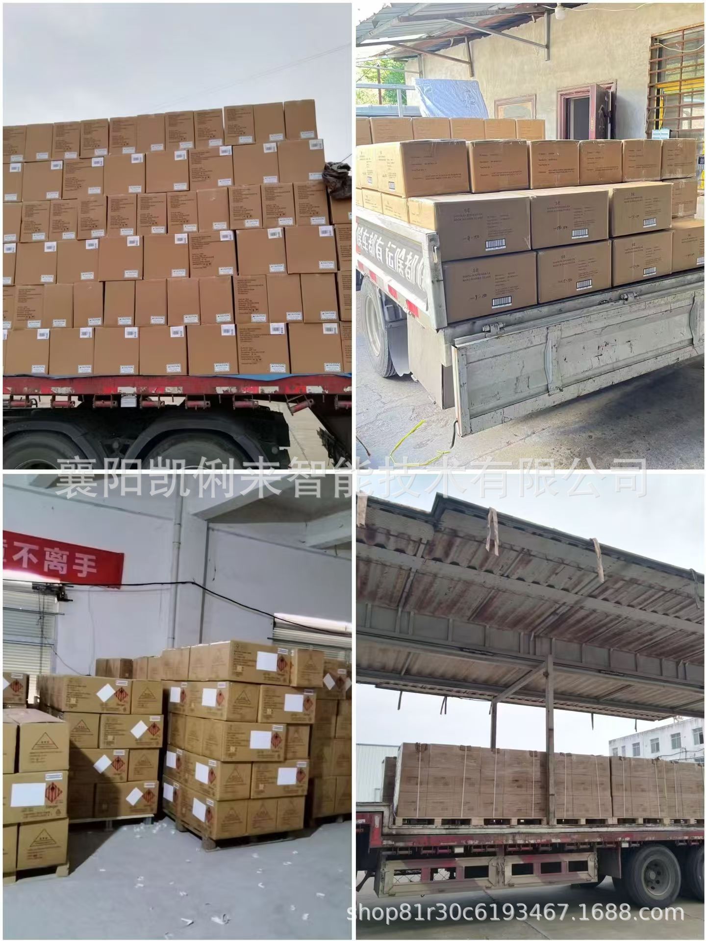 微信图片_20240830112444