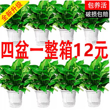 �G�}�����҃ȼ��Ã����՚�ֲ���·�������ȩ�L��ˮ����~�Gֲ�G�j