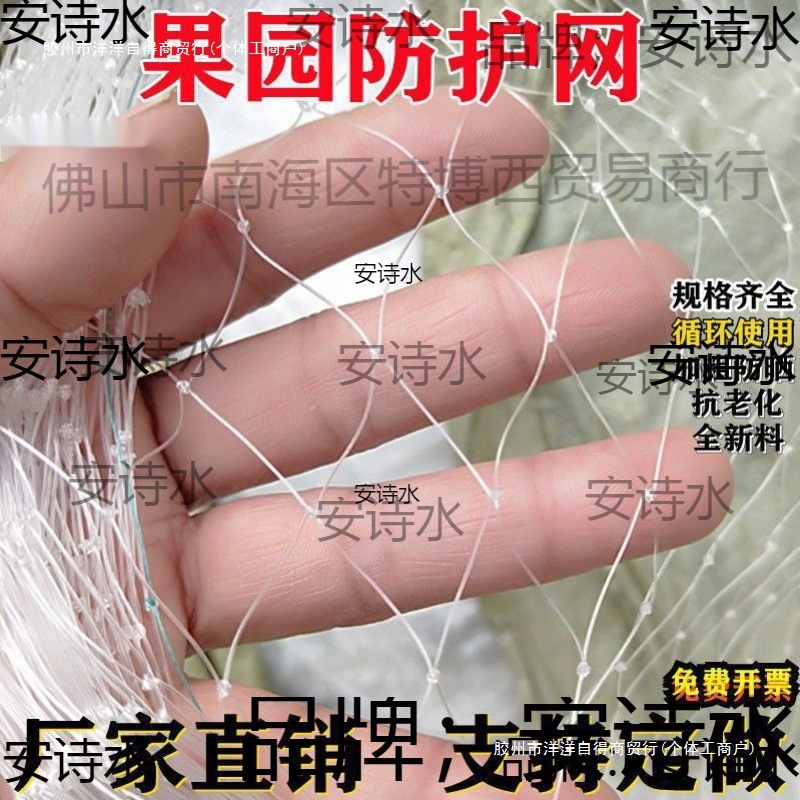 罩枇杷树嘉宝樱桃树拦鸟网子防鸟果树防鸟网树鸟挡葡萄园尼龙网