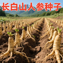 Lɽ˅NƷҰɽNļ׷Nș׻҃^