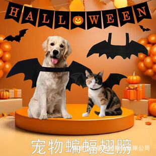 �羳�f�}������ë��������С��؈Ȯ������L�Ɍ�׃�턓����