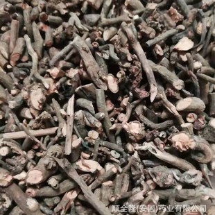 ��ș�� ��� ����GMP�S�ҬF؛ ���l���ێ��ϸ��C�|�z�lƱ