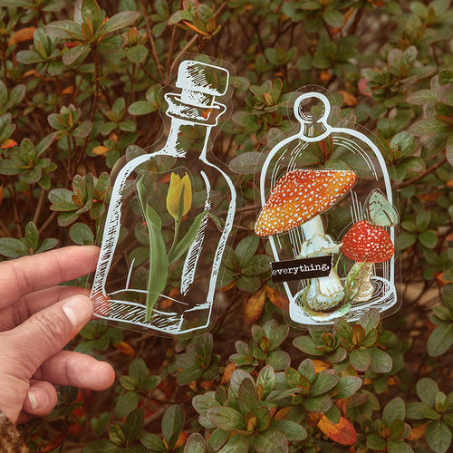 Dried flower bookmark handmade diy material bag plant specimen bag transparent small bottle embossed bag primary school students creative