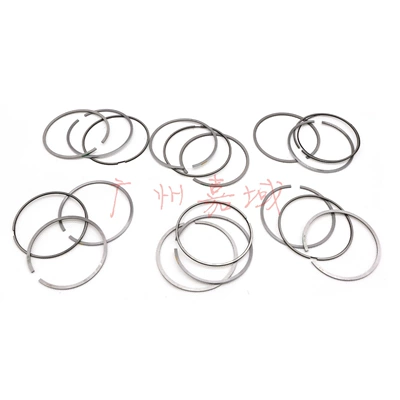 6420308017 6420308117, Piston, piston ring, piston pin