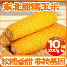�|��Ŵ������հ��b��ʳ�������S�ڰ������������������װ����r