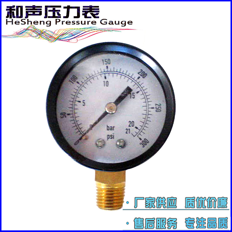 ����������ѹ��ˮѹ��Y50����21BAR��ͨѹ������������ѹ����