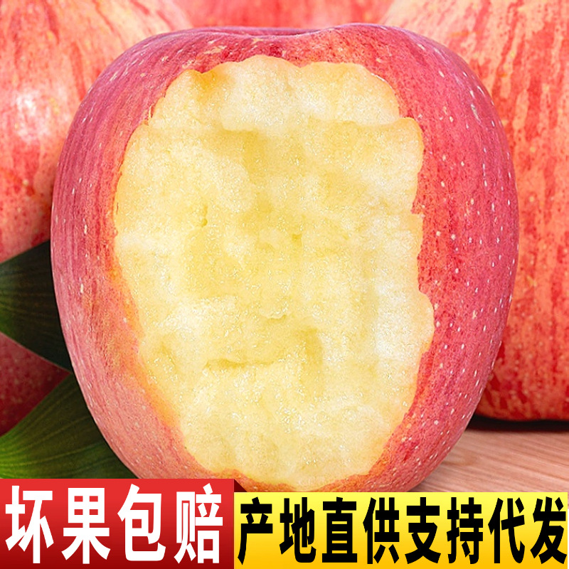 山东烟台红富士苹果水果当季整箱礼盒装批发产地直供一件代发脆甜
