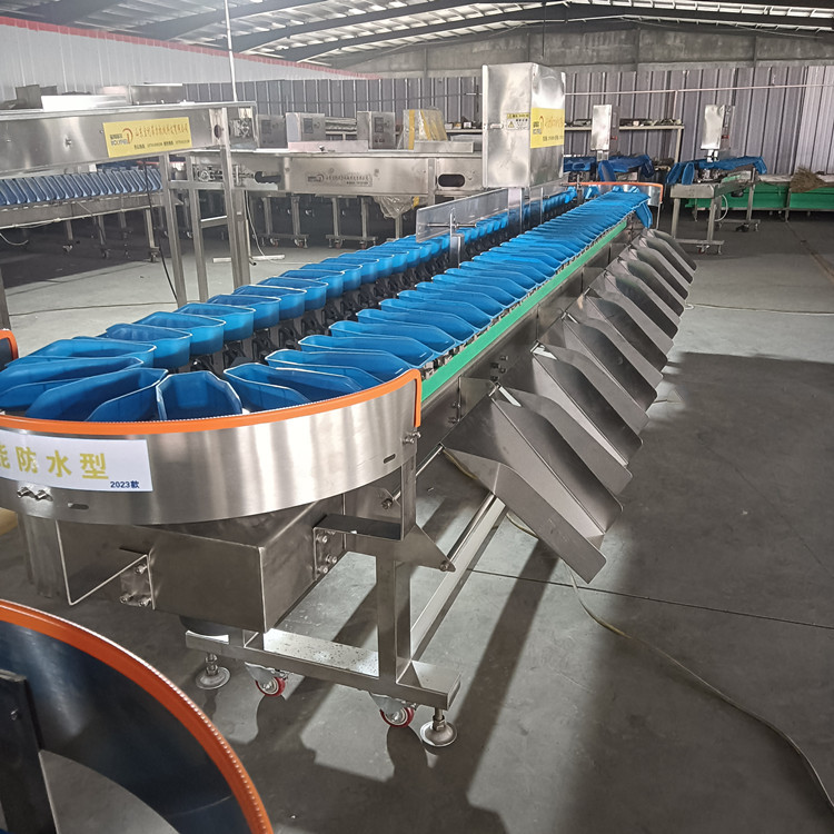 鸡爪重量分选机 黄花鲳鱼自动称重分级机 柑橘苹果水果自动选果机