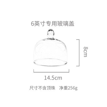 Placa de degustación de frutas con tapa caja cubierta de vidrio transparente para tienda pan postre pastel cubierta bandeja de exhibición Placa de degustación