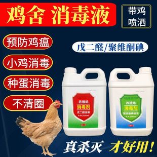 Special Disinfectant for Chicken Coops, Farm Disinfectant, Duck Pens, Goose Sheds, Poultry Disinfectants, Newcastle Disease, Chicken Plague, Veterinary Use