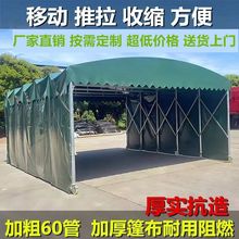 ������������Ƅӎ�����s���řnҹ������͂}������sͣ܇��