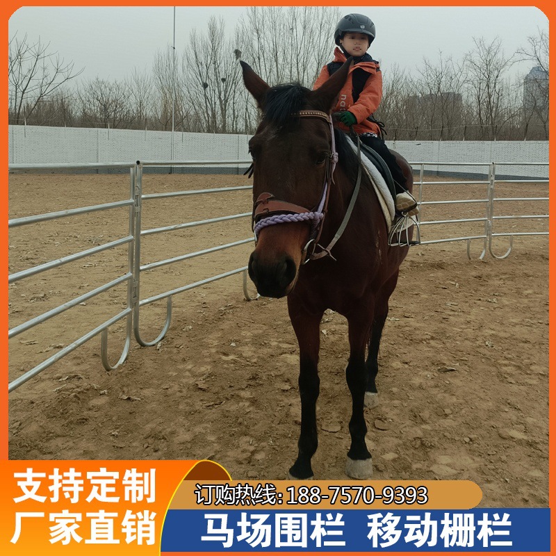 马场围栏马厩马场围栏畜牧护栏调训镀锌室内隔离栏圈牛羊栅栏