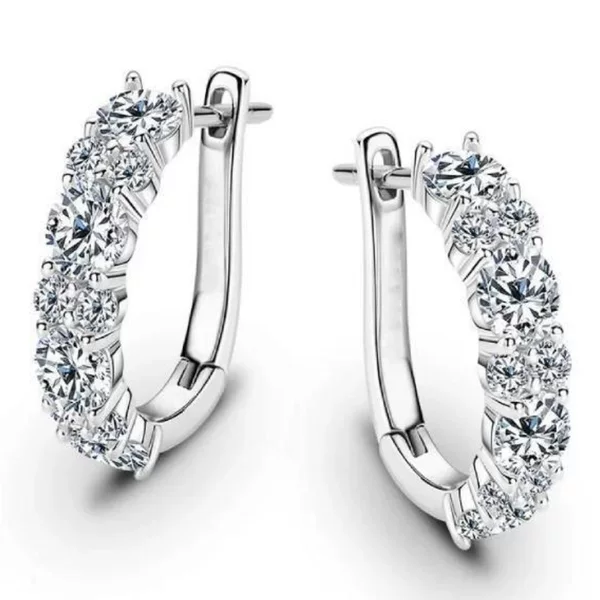 Cross-Border Hot-Selling Zircon-Encrusted D-Shaped European and American Style High-End Luxury Full Diamond Hoop Earrings Niche Design Earrings Wholesale