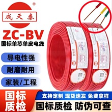 ����̩��|��|ZC-BV  2.5/4/6/10ƽ���o���~о���̼��Ç���늾�