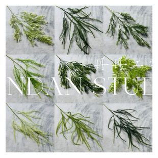 ��Y���滨�Gɫ�ٻ��������J��횲�����ӆ�黨�廨�b���¿�