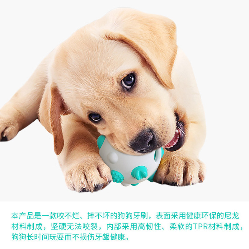 17432012392_972132204 (1)