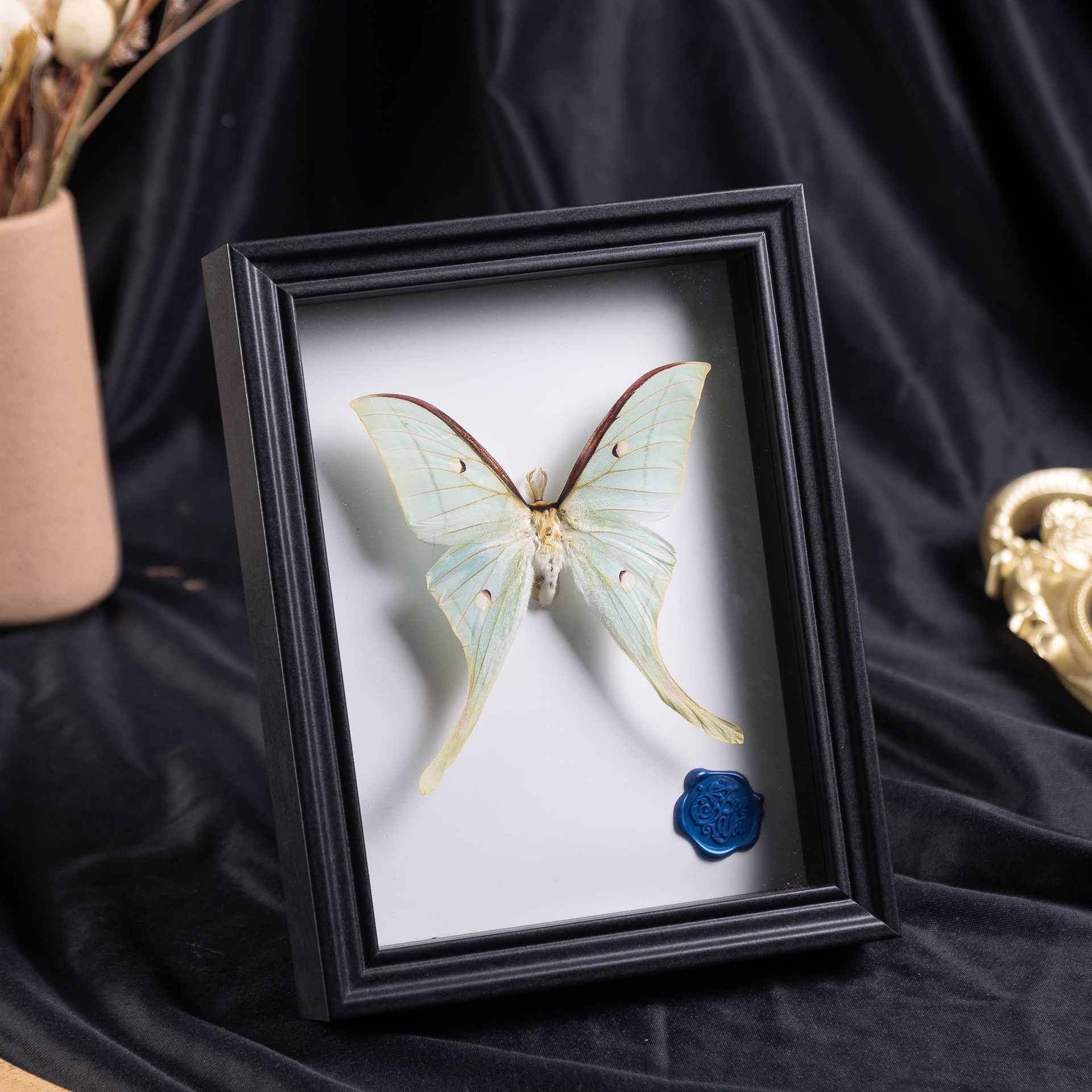 Black photo frame [single frame] new / 6inch real glass (inner diameter 10cm*15cm) hollow 2cm